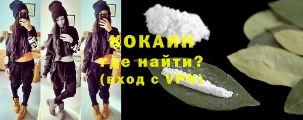 дурь Ладушкин