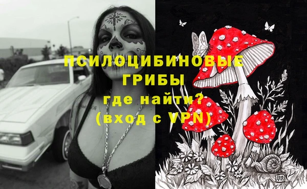 дурь Ладушкин