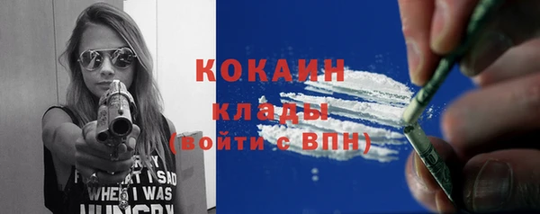 дурь Ладушкин