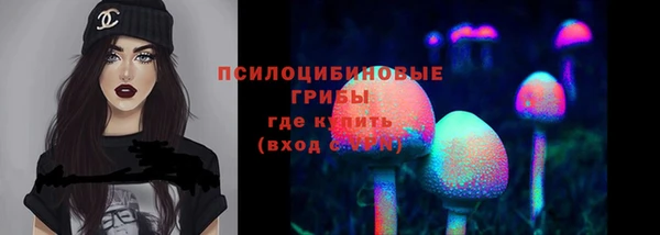 дурь Ладушкин
