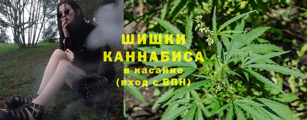 дурь Ладушкин