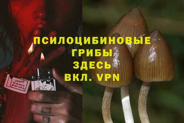 марки lsd Лабытнанги