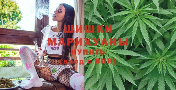 дурь Ладушкин