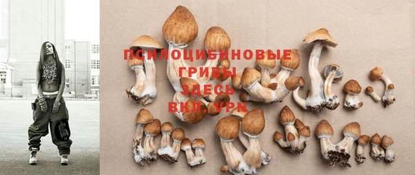 марки nbome Лагань