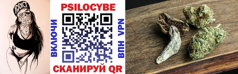 гидра   купить наркоту  Томари  Галлюциногенные грибы Psilocybe 