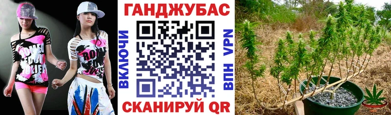 Бошки марихуана White Widow  купить закладку  Томари 